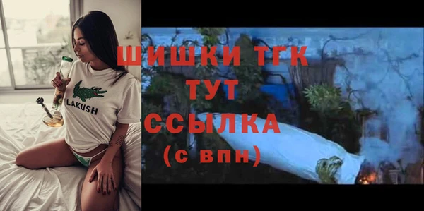 индика Сосновый Бор