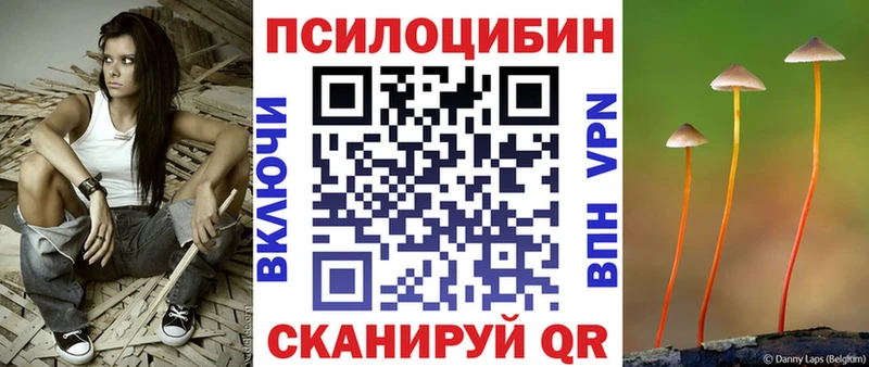 Галлюциногенные грибы Psilocybe  MEGA как зайти  Медвежьегорск 